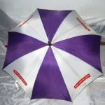Umbrella Manufacturing Company (5)